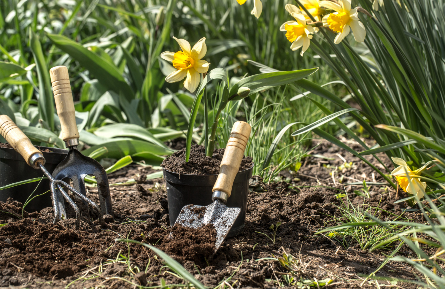 Jak przygotować ogród na wiosnę